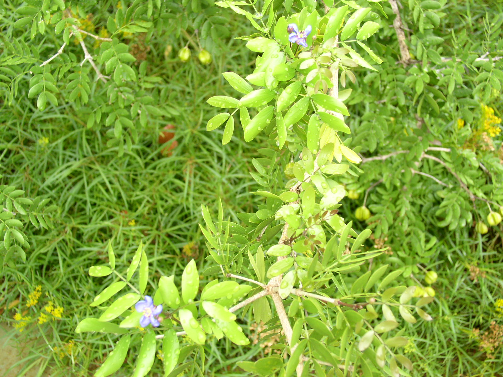 photo1